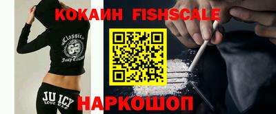 скорость Дубна