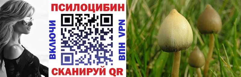 Галлюциногенные грибы GOLDEN TEACHER Севастополь