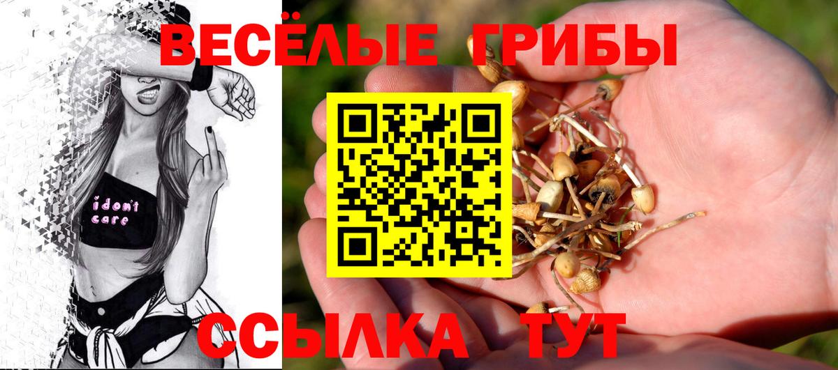 наркота  Вход с VPN  Севастополь  Галлюциногенные грибы MAGIC MUSHROOMS  Галлюциногенные грибы мицелий 